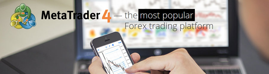 are you depend only forex trade
